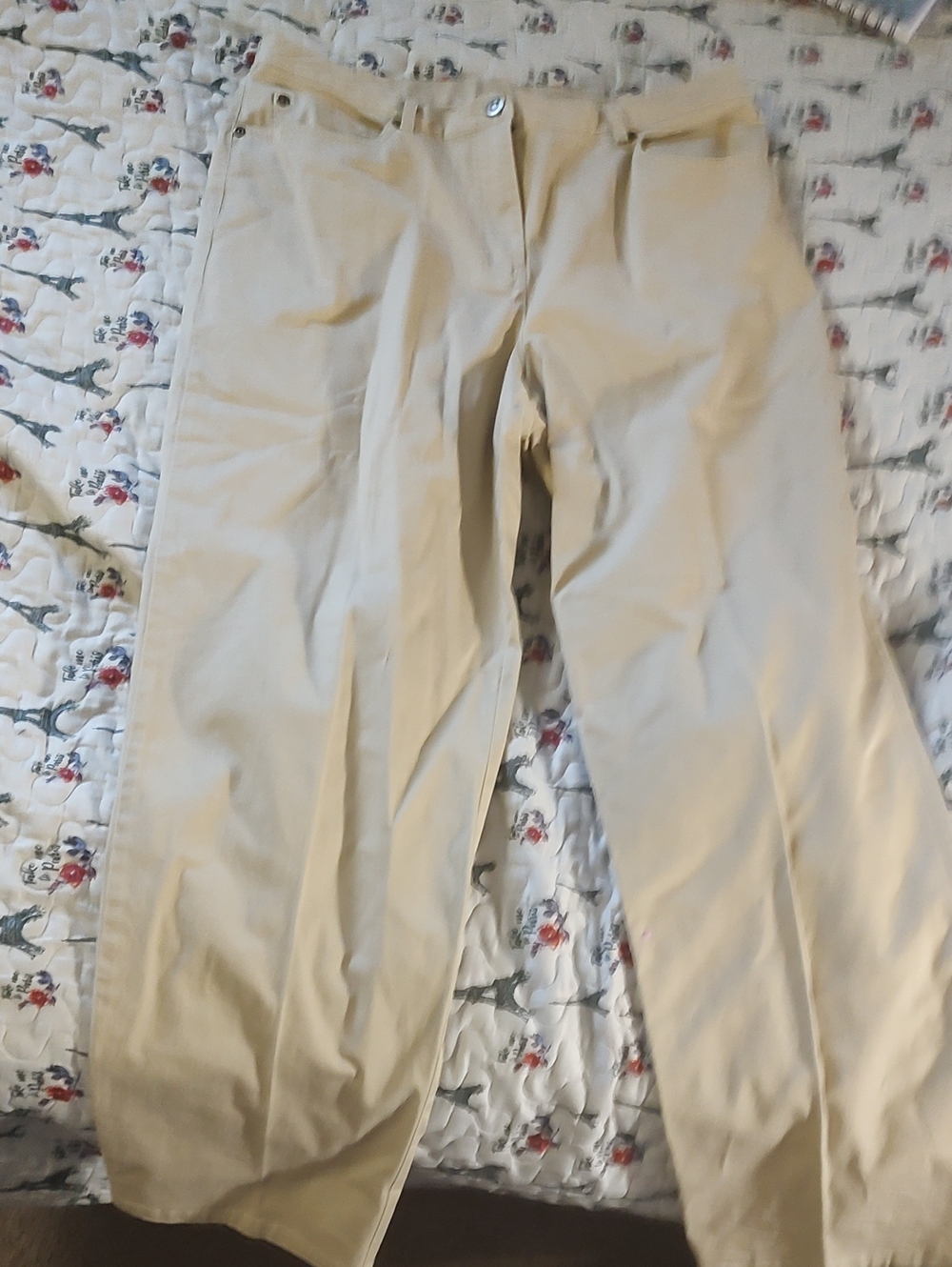 Ruby Rd. Tan Pants